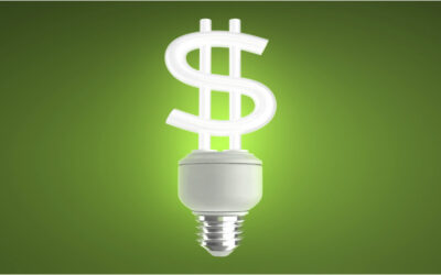 Vose: The Real Energy Efficiency Problem
